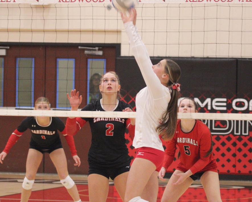 Junior Amira Cowell sets the ball the for Luverne against Redwood in Section 3AA competition Tuesday. Oct. 31 at Redwood-Valley High School. LHS fell in three sets 27-25, 25-19 and 25-19.