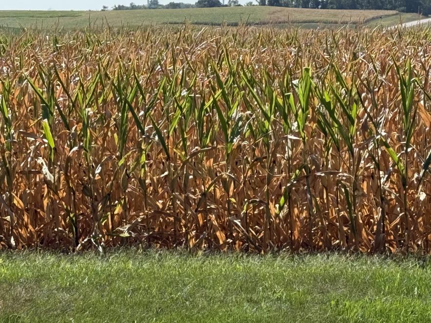 Rock County Star Herald Photo