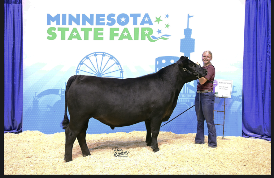 Danette Leenderts, champion British slick-shorn steer. Submitted photo