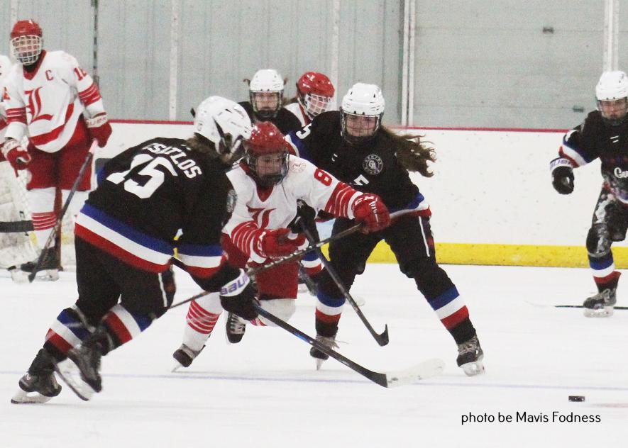 Mavis Fodness photo/1120 Luverne Girls Hockey Luverne forward Ella Apel fights through opponents for the puck during the third period against Gentry Academy Thursday night, Nov. 13. The Cardinals were down 5-2 with 4:32 left in the game.