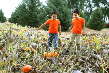Brothers Romeo Marez (left) and Matteo Marez search the Purely Pumpkin Patch for the perfect pumpkin during the “Pumpkin & Pals” event offered through Early Childhood Family Education Sept. 30. Mavis Fodness/Rock County Star Herald Photo